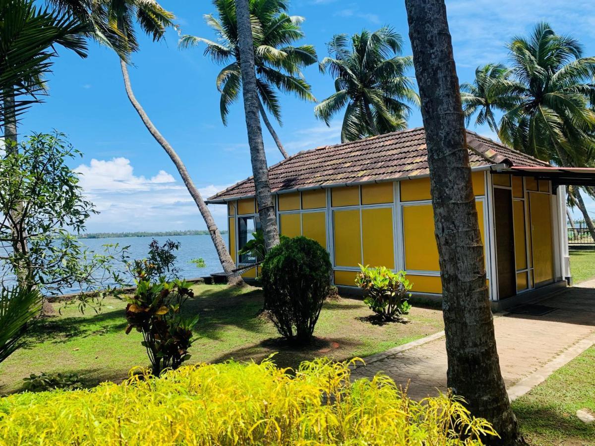 Kallanchery Retreat Kochi Kültér fotó