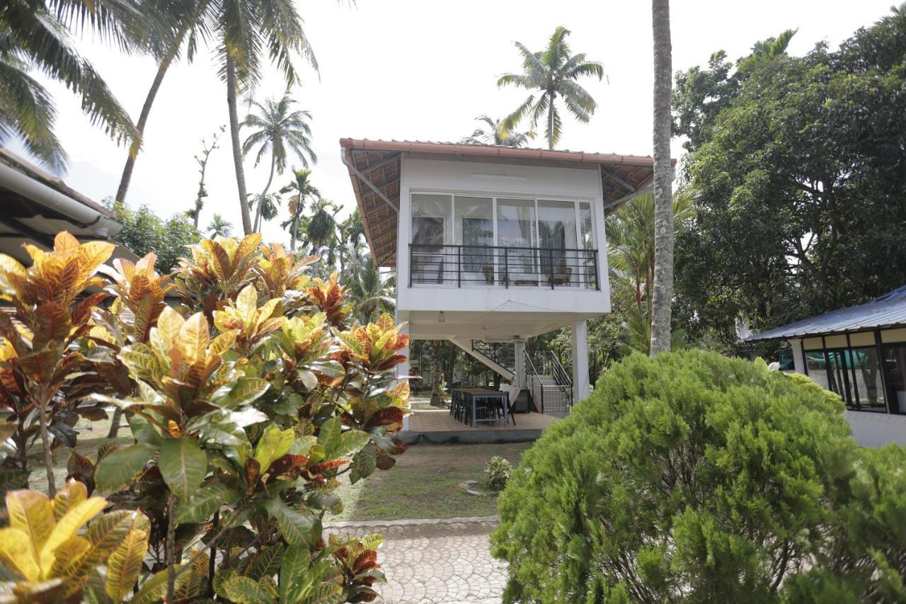 Kallanchery Retreat Kochi Kültér fotó